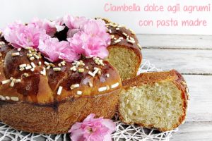 ciambella dolce agli agrumi con pasta madre