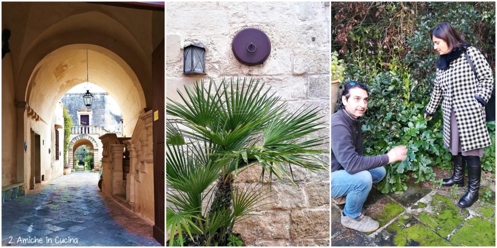 educational tour in salento-blog tour 