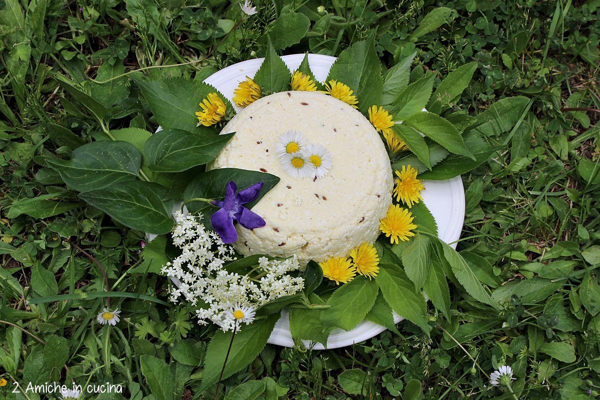 Formaggio lettone al cumino per San Giovanni