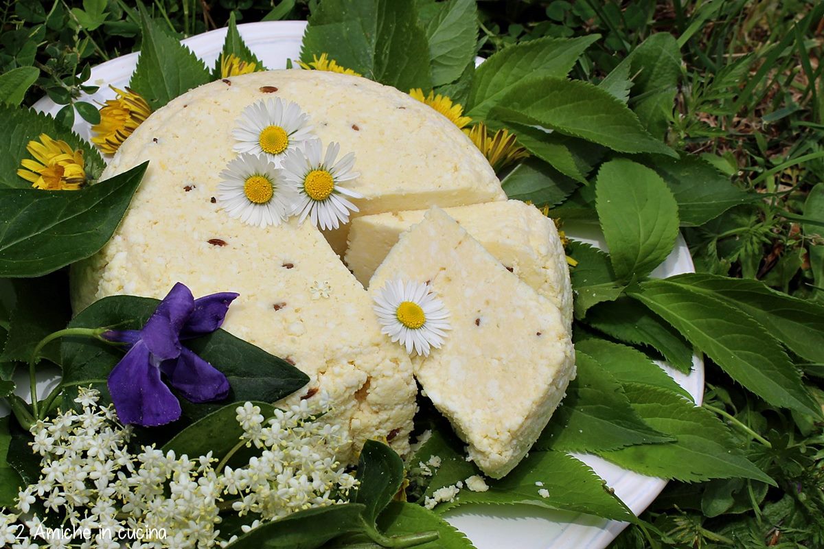 Janu siers, formaggio lettone di San Giovanni