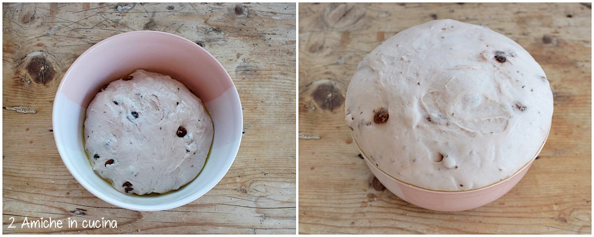 lievitazione del pan mostato