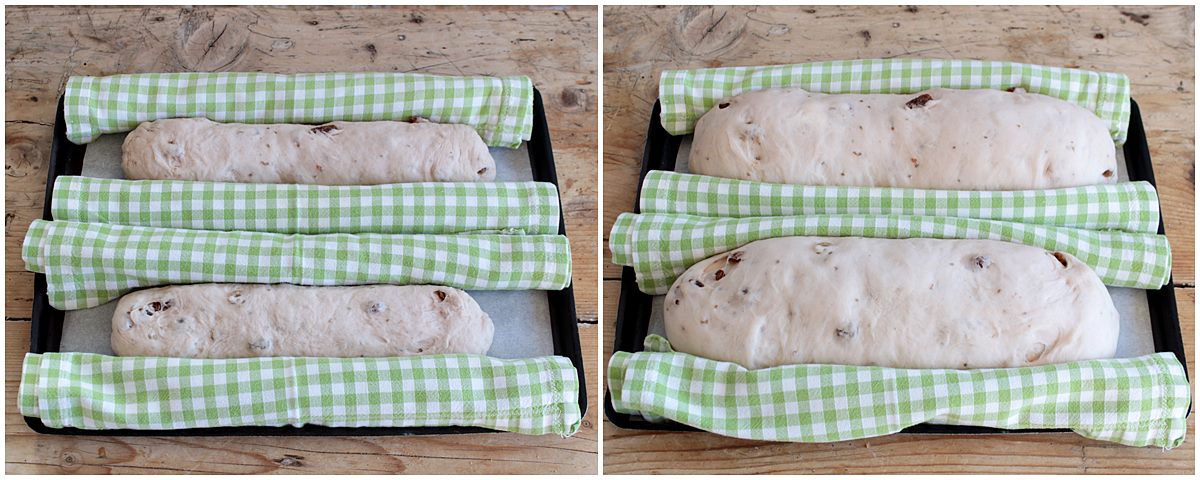filoncini di pan mostato in lievitazione