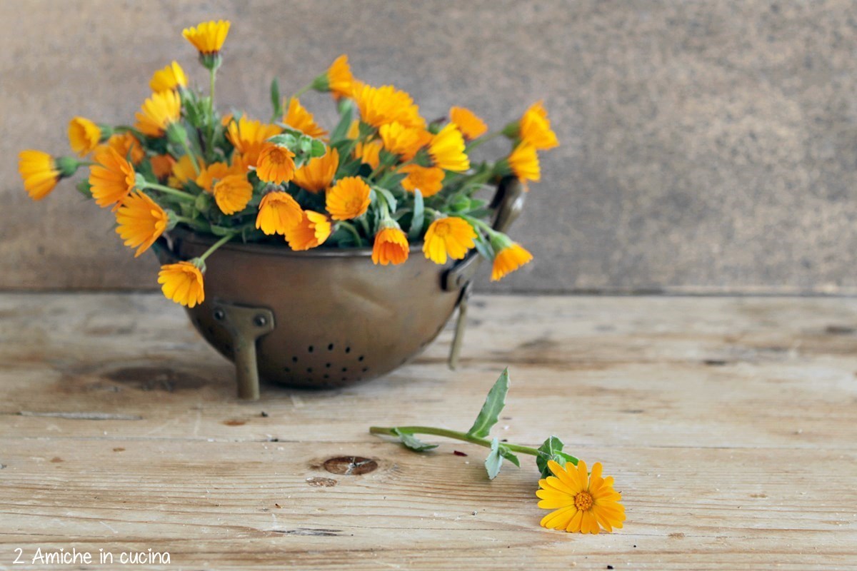 fiori di calendula