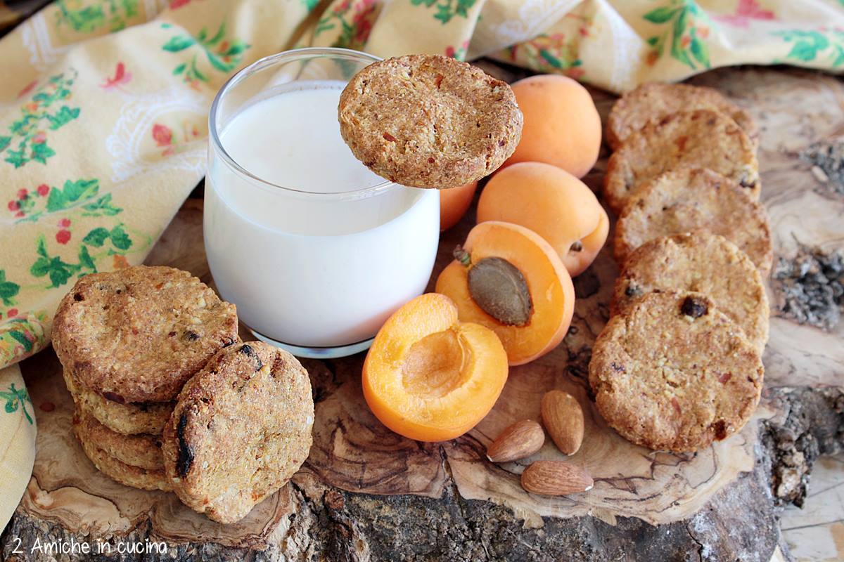 Piatti sani e veloci, biscotti rotondi da colazione senza zucchero, con albicocche e mandorle