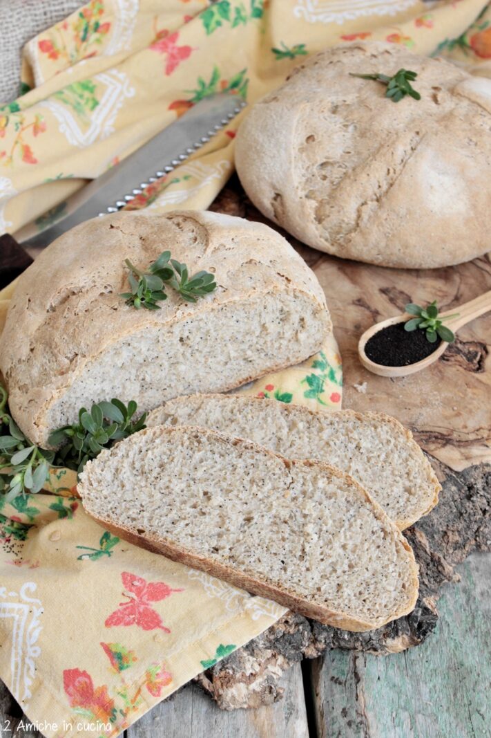 fette di pane ai semi di portulaca