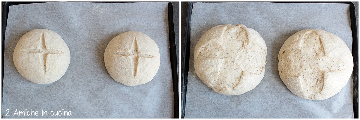 lievitazione del pane con semi di portulaca