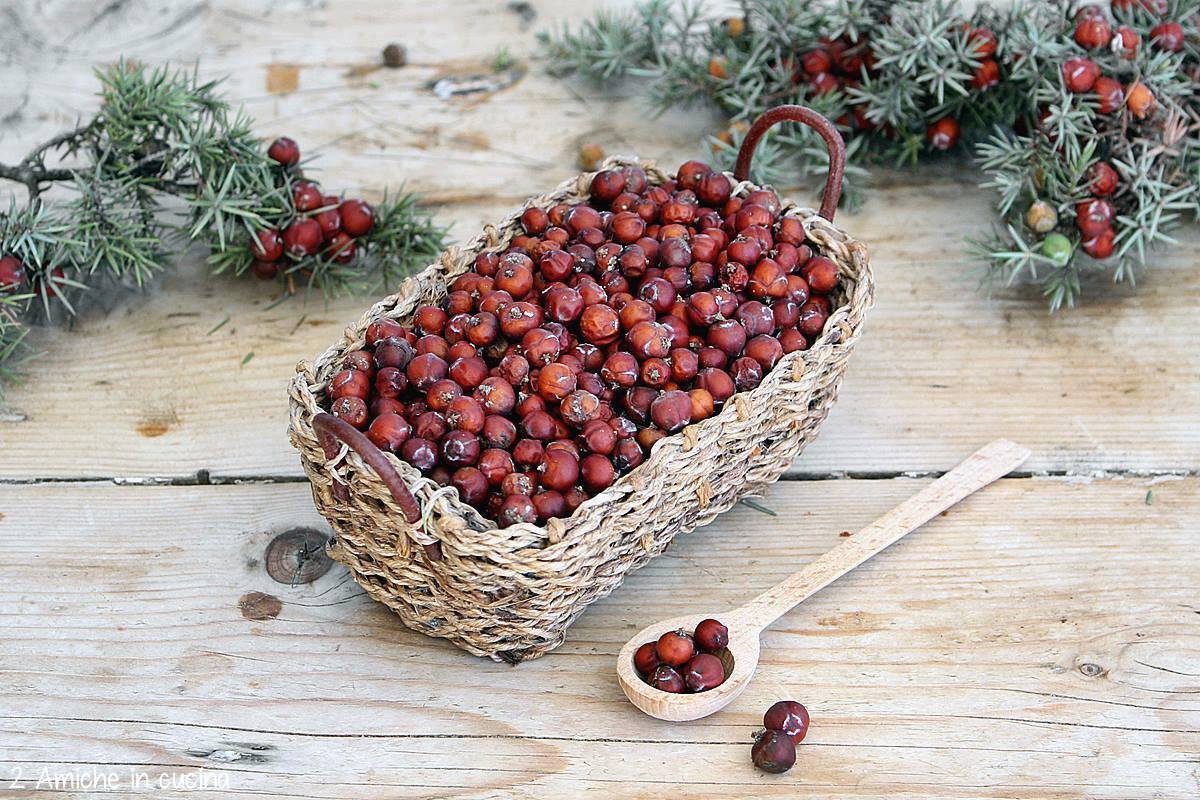 cestino di bacche di ginepro rosso