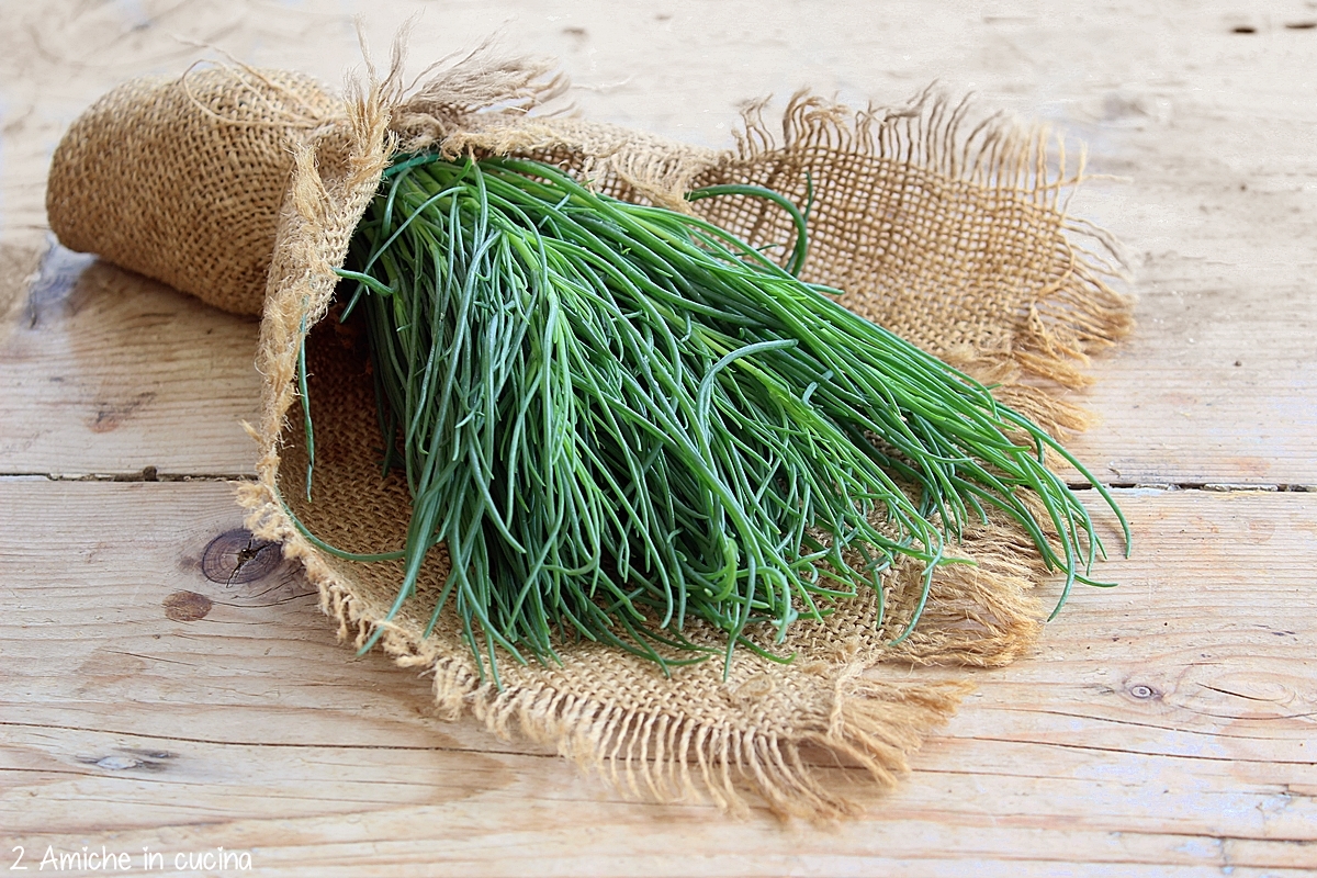 mazzetto di agretti freschi