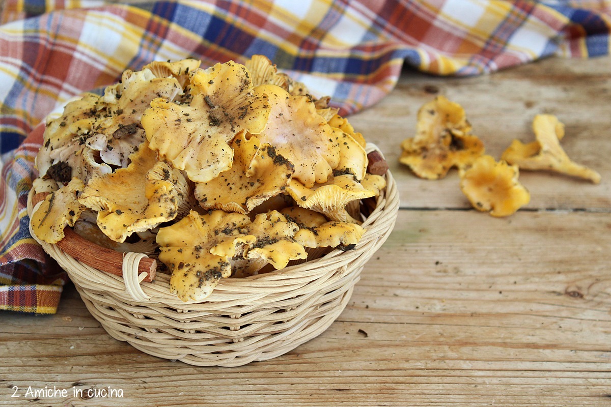 cestino di funghi galletti