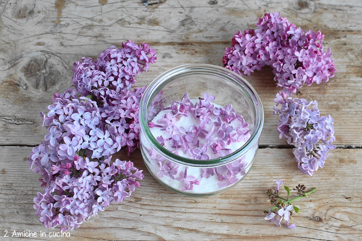 zucchero ai fiori di lillà